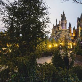 The Wizarding World of Harry Potter wallpaper