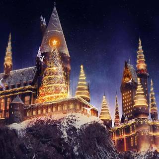 The Wizarding World of Harry Potter wallpaper