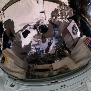 Desktop selfie wallpaper