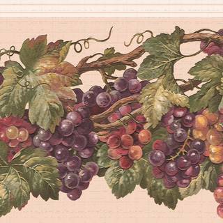Grape vine wallpaper