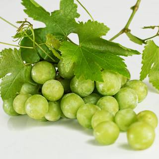 Grape vine wallpaper