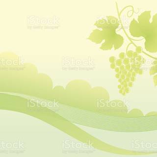 Grape vine wallpaper