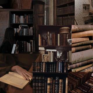 Aesthetic library wallpaper
