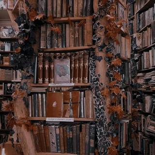 Aesthetic library wallpaper
