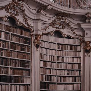 Aesthetic library wallpaper