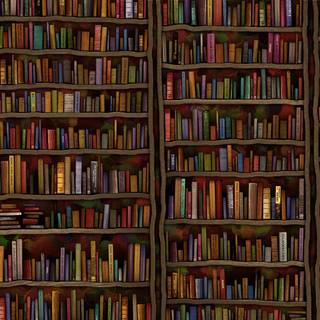 Aesthetic library wallpaper