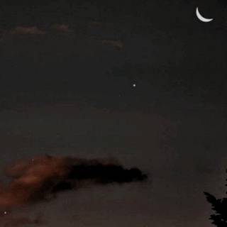 Night retro wallpaper