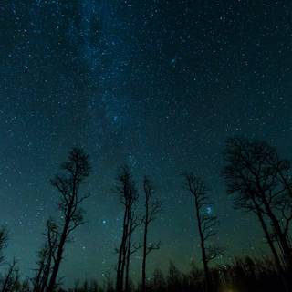 Night 4k HD wallpaper