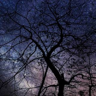 Night 4k HD wallpaper