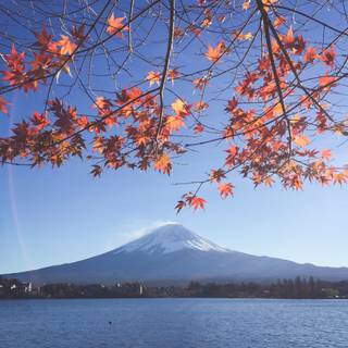 Mt Fuji 4k wallpaper