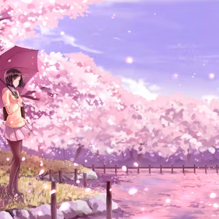 Sakura anime 4k wallpaper