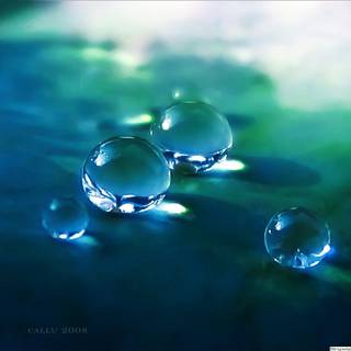 4k transparent wallpaper