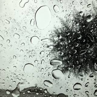 4k transparent wallpaper