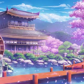 Sakura anime 4k wallpaper