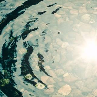 4k transparent wallpaper