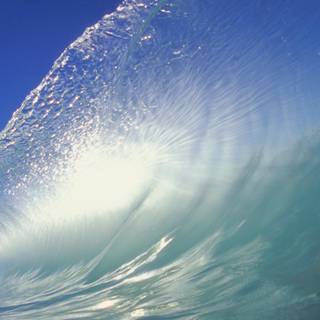 4k transparent wallpaper