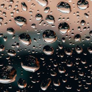 4k transparent wallpaper