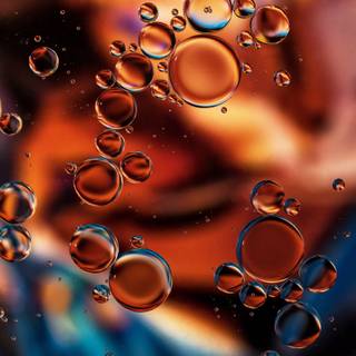 4k transparent wallpaper