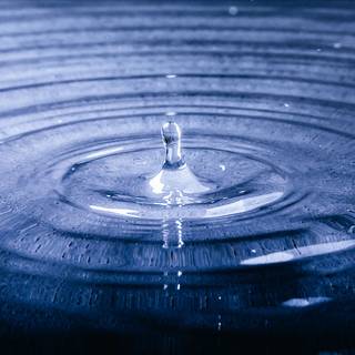 4k transparent wallpaper