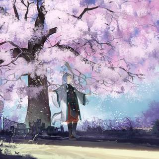 Sakura anime 4k wallpaper