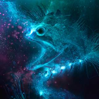 Sea animal 4k wallpaper