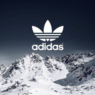 Adidas 4k phone wallpaper