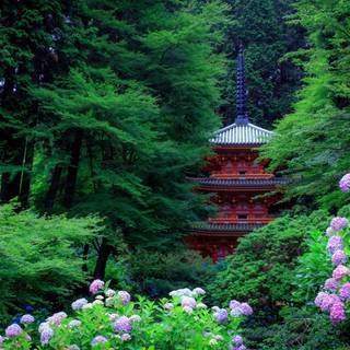 4k gardens wallpaper