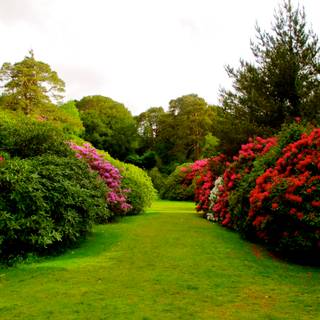 4k gardens wallpaper