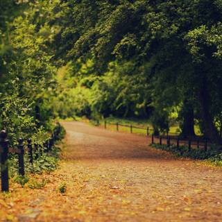 4k gardens wallpaper