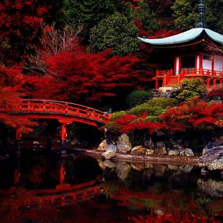 4k gardens wallpaper