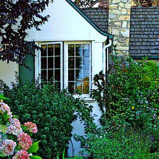 4k gardens wallpaper