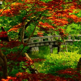 4k gardens wallpaper