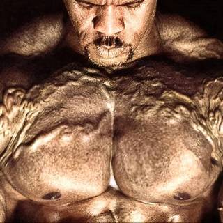 Paul Dillett wallpaper