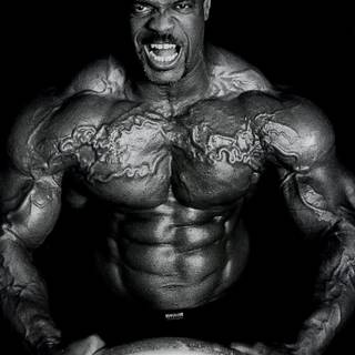 Paul Dillett wallpaper