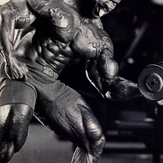 Paul Dillett wallpaper