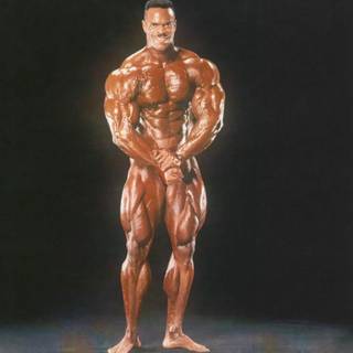 Paul Dillett wallpaper