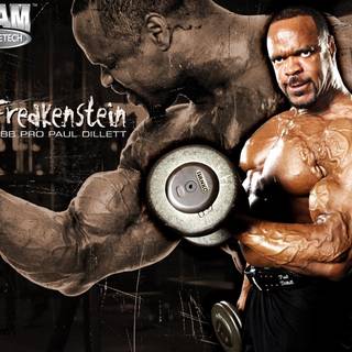 Paul Dillett wallpaper