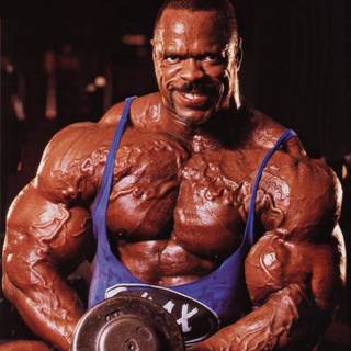 Paul Dillett wallpaper