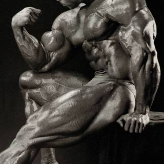 Paul Dillett wallpaper