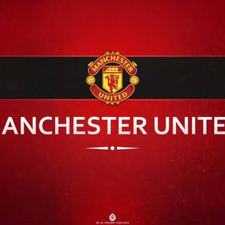 Manchester United 4k HD wallpaper
