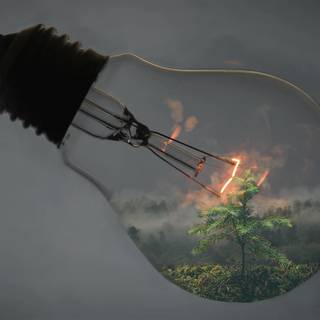 Nature in a light bulb wallpaper