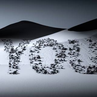 Typography 4k wallpaper