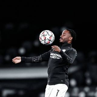 Sterling Chelsea wallpaper