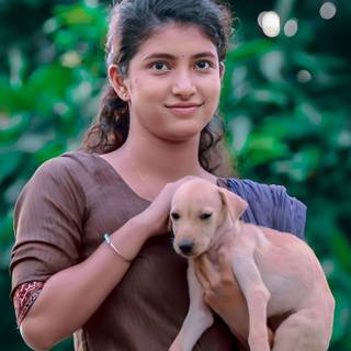 Good Night movie wallpaper