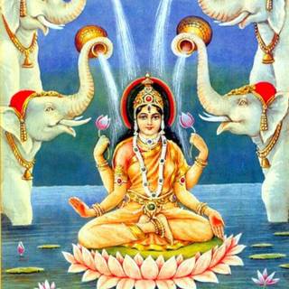 Maa Kamala wallpaper