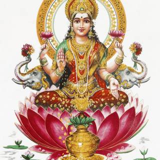 Maa Kamala wallpaper