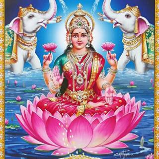 Maa Kamala wallpaper