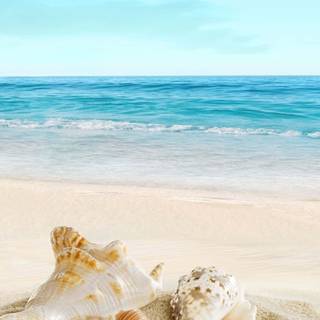 Beachside wallpaper