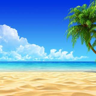 Beachside wallpaper