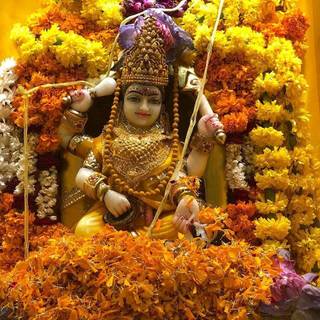 Maa Bagalamukhi wallpaper